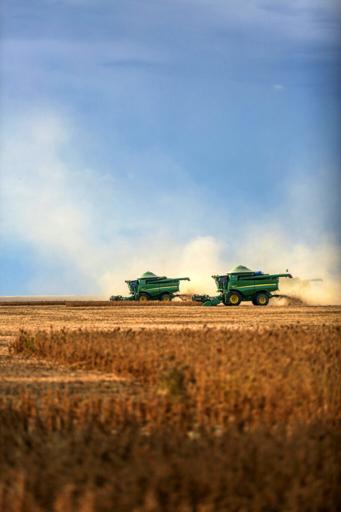 pexels melquizedeque 31226933