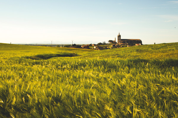 Flexibilidad de la PAC 2026 y medidas excepcionales en Castilla y León