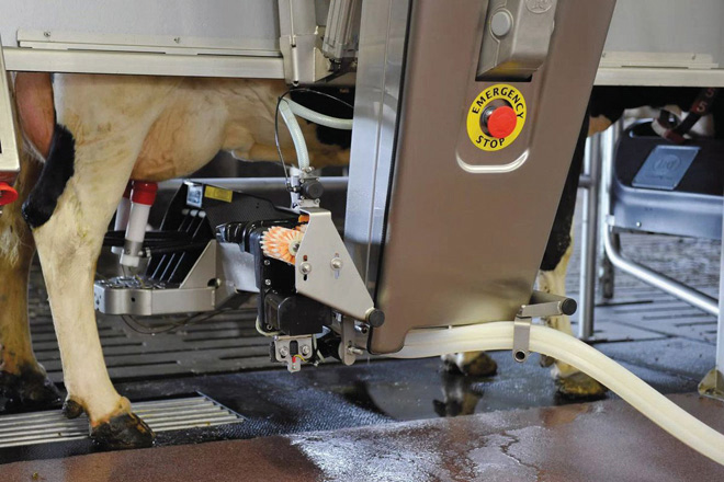 Desafíos en alimentación en robot de ordeño en vacuno de leche