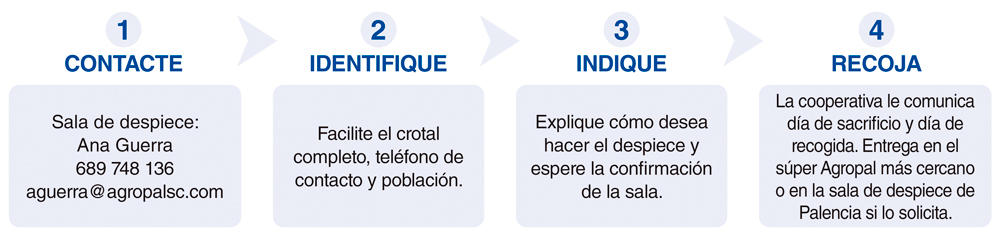 Maquila Proceso